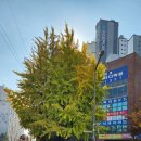 삼양공인중개사사무소 네이버블로그