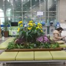 동대문구청 종합민원실 이미지