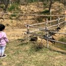 순성어린이집 이미지