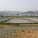 어진농장 이미지