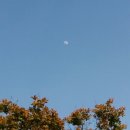 영광예복 이미지