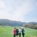 중산골프 아카데미 이미지