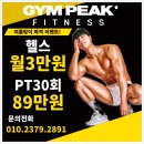 스토리샵 | 파장동 PT 파장동 헬스장 유목민 끝! 짐피크(GYM PEAK)에서 경험하는 프리미엄 트레이닝의 정석