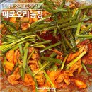 서울 합정역 합정 한식 추천 오리불고기 맛집 마포오리농장