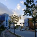 농협호암점 이미지