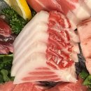 종암21 | [종암 참치 맛집] 대왕참치, 룸 술집 방문후기