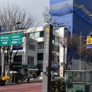 푸른펫살롱 | 선유도역미용실 담다살롱 선유도역점 블루블랙 톤다운염색 후기(하루디자이너님)
