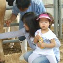 서진목장 이미지