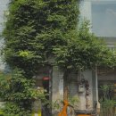 그랑여관 이미지