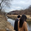 점보씨푸드 도곡점