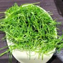 김광석 농장 이미지