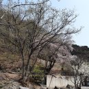 풍경을 담은 아크릴화 이미지