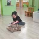 청남초교 병설유치원 이미지