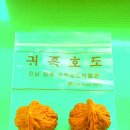 귀족호도 이미지