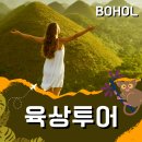 보홀 맛집 원더랜드 타이 (00스타일) 레스토랑