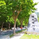 대덕승마장