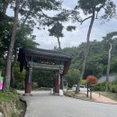 개울가 야영장 | 서울근교 계곡 당일 가족물놀이 양평놀거리 용문산관광지