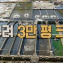 송어의꿈 이미지