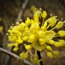 성환 행정사 사무소 이미지