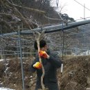 강신농장 이미지