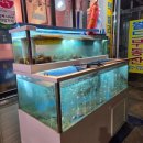 미야포차 이미지