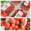 토마토 이미지