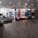 파워 복싱 체육관 이미지