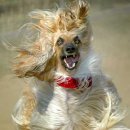 똘이광택 이미지