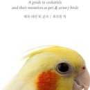 브리더스퀄리티 이미지