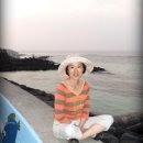 함덕해수욕장 앞에 횟집 ㅋㅋㅋ 이미지