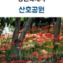 산호동531 이미지