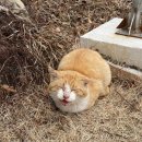 자락스테이 이미지