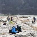 동강의 향기 이미지