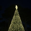 유림정류장 | 유림공원 크리스마스 마켓·체험 프로그램 구성 분석 및 방문 후기