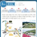 대위리-양지리 티스토리