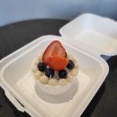 퍼피원데이 이미지