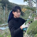 과수원집 이미지