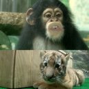 승자농장 이미지