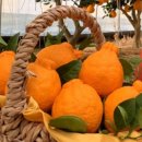 한율농장 이미지