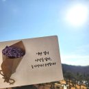 부모님 결혼기념일 꽃다발 카드, 스타플라워 꽃다발 카드 후기(feat.여자친구 생일편지 추천)