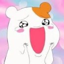 생선명가거북명태 이미지