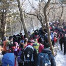 분원초등학교 이미지