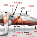 경희대 태권스쿨 이미지