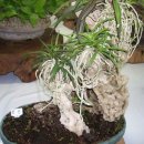 동의중학교 이미지