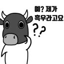 디자인파라 이미지