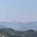 영월 동강에서 짜릿한 서바이벌 게임! 90분 전투 후기