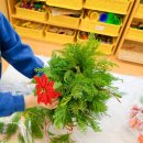 초은초등학교 이미지