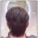 살롱드봄 이미지