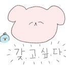 가평브릿지짚라인