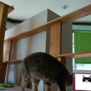 호텔 코코 이미지